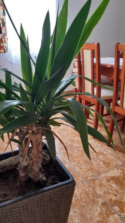 Hotel Bajusz Vendeghaz Tornyosnémeti Zewnętrze zdjęcie
