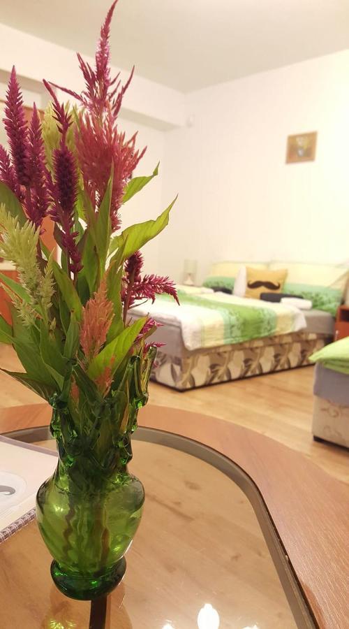 Hotel Bajusz Vendeghaz Tornyosnémeti Zewnętrze zdjęcie