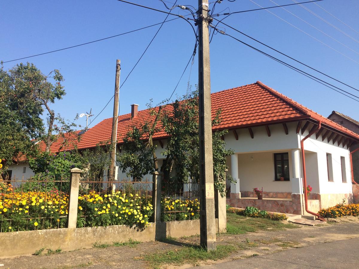 Hotel Bajusz Vendeghaz Tornyosnémeti Zewnętrze zdjęcie