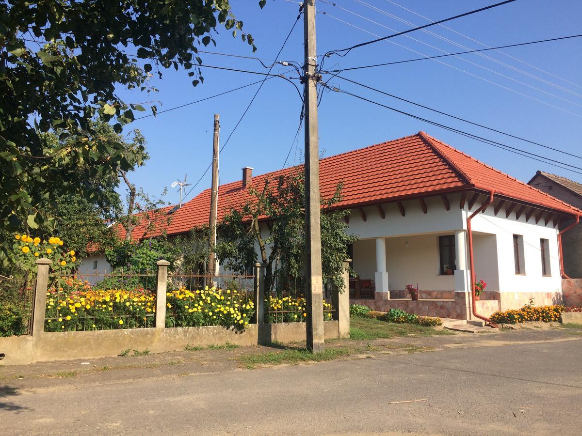 Hotel Bajusz Vendeghaz Tornyosnémeti Zewnętrze zdjęcie