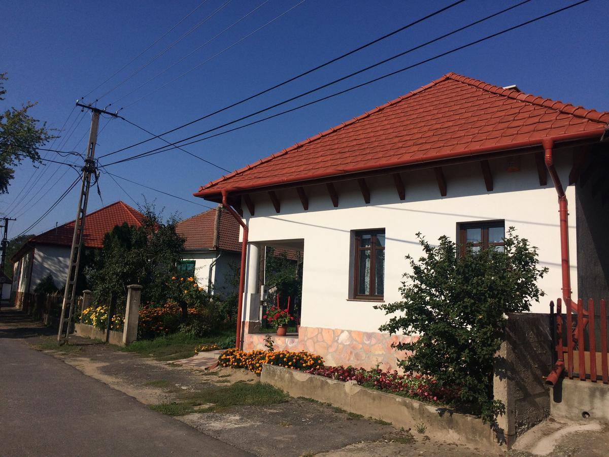 Hotel Bajusz Vendeghaz Tornyosnémeti Zewnętrze zdjęcie